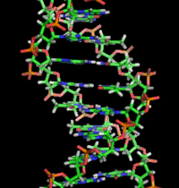Načrtovanje proteinov z uporabo Rosetta in AlphaFold2