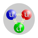 Koherentni test leptonske univerzalnosti v prehodih med kvarki b in s