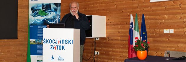 »Podobe iz modrine« prof. dr. Lovrenca Lipeja