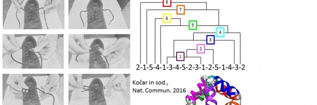 Molekulski vozli: izum priprave hitrega spontanega zvitja molekulskih nanostruktur