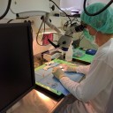 Prof. dr. SIMON HORVAT,  Odkritje gena za vitkost bo omogočilo razvoj komplementarne terapije za diabetes tipa II