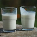 Consumption of Natural Estrogens in Cow’s Milk Does Not Affect Blood Levels or Reproductive Health