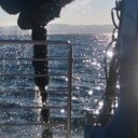 Znanost med knjigami: Neurni valovi, burje in meteorološki cunamiji