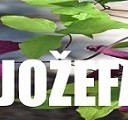 25. DNEVI JOŽEFA STEFANA, 20. – 25. marec 2017