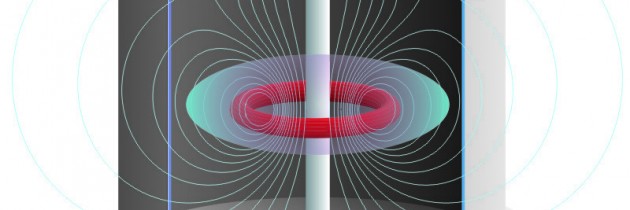 EU Excellence Award to IPP scientist