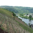 prof. Alain Deloire: Odkrivanje mističnosti terroir-ja