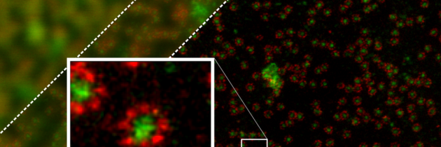 Predstavitev odkritja in novega mikroskopa IJS
