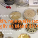 Znanost med knjigami: Glive v oblakih, najnovejše raziskave ekstremnih gliv na Islandiji in Grenlandiji