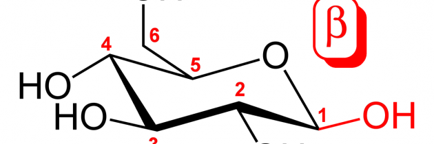 prof. dr. Serge Pérez: Poljudna glikoznanost