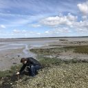 dr. Nelson O’Driscoll: Wetland restoration, biovectors and mercury cycling: A story of human disturbance