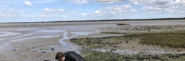 dr. Nelson O’Driscoll: Wetland restoration, biovectors and mercury cycling: A story of human disturbance