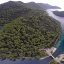 Dr. Lovrenc Lipej: recentne spremembe v biodiverziteti sredozemskega morja