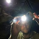 dr. Matjaž Gregorič, evolucijski biolog in arahnolog, ZRC SAZU: Že šola bi morala izobraževati v logičnem sklepanju