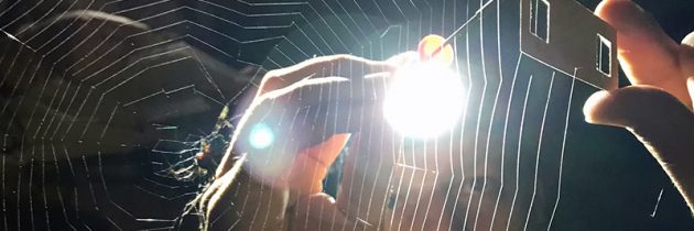 dr. Matjaž Gregorič, evolucijski biolog in arahnolog, ZRC SAZU: Že šola bi morala izobraževati v logičnem sklepanju