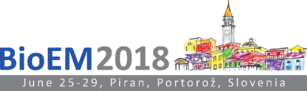 BioEM2018: Strokovnjaki o vplivu elektromagnetnih polj na zdravje