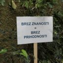 Javno pismo predsednikom in predsednici parlamentarnih strank