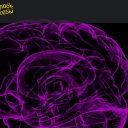 Znanost na cesti: Demenca