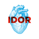 Radiološki posegi na srcu