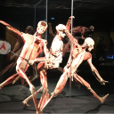 Body worlds: razstava človeških teles