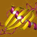 dr. Eva Žerovnik: Človeški stefin B kot modelni protein za študij zvijanja in agregacije proteinov