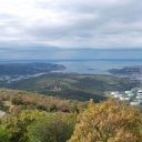 dr. Patricija Mozetič: Raziskave ekologije fitoplanktona obalnih morij: spoznanja zadnjih 30 let iz Tržaškega zaliva