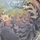 ZnC: Klepetavi mikrobi