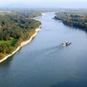 Mussels in ecogenotoxicology – the Danube river case study