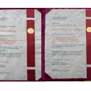 ZLATI ZNAK JOŽEFA STEFANA