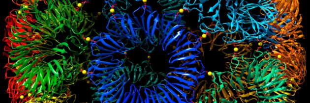 Nov sintetični protein v obliki nogometne žoge za usmerjanje procesov v organizmih