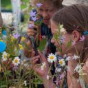 Dan očarljivih rastlin 2019