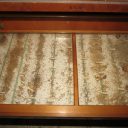 dr. Boris Kryštufek »Komu zvoni? Naravoslovne zbirke na Slovenskem«