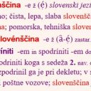 Slovenščina med globalizacijo in konzervacijo