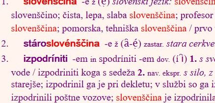 Slovenščina med globalizacijo in konzervacijo