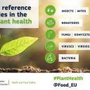 Mednarodno leto zdravja rastlin  in delovanje prvih EU referenčnih laboratorijev, tudi na NIB