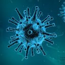 Potek študijskega procesa zaradi koronavirusa