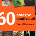 60 obrazov biodiverzitete na NIB