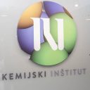 Tujci v slovenskem akademskem in znanstvenem okolju, Kemijski inštitut