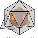 Boj proti virusnim okužbam z zajemom v nano-kletke
