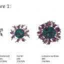 Kemijski inštitut (KI) z inovativno metodo v razvoj  cepiva Covid-19
