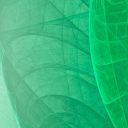 Predstavitev izbranih izobraževalnih in dokumentarnih filmov o aktualnih raziskavah NIB in biodiverziteti