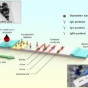 Zlato v boju proti SARS-CoV-2