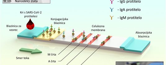 Zlato v boju proti SARS-CoV-2