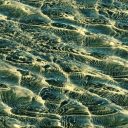 Prešernov dan na NIB