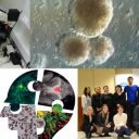 Projekt  TRANSGLIOMA ob zaključnem srečanju