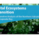 Obalni ekosistemi na prehodu