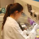 O elektoporaciji in zdravljenju z njo na mednarodni doktorski šoli