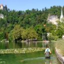 Kaj vemo o cianobakterijah?