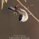 LIFENaturaviva – Biodiverziteta – umetnost življenja