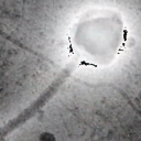 NIB med vodilnimi v Evropi pri monitoringu virusa SARS-CoV-2 v odpadnih vodah