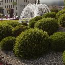 Načrtovan  razvojni center za brezogljične tehnologije v Zasavju